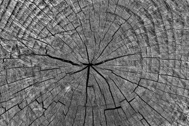 Soyut arkaplan. Monokrom dokusu. Siyah ve beyaz desenli arkaplan. 