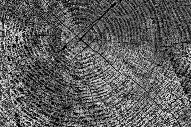 Soyut arkaplan. Monokrom dokusu. Siyah ve beyaz desenli arkaplan.     