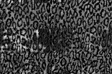 Soyut arkaplan. Monokrom dokusu. Siyah ve beyaz desenli arkaplan. 