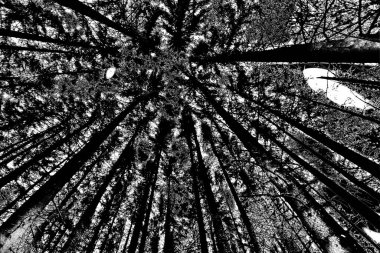 Soyut arkaplan. Monokrom dokusu. Siyah ve beyaz desenli arkaplan. 