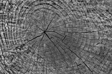 Soyut arkaplan. Monokrom dokusu. Siyah ve beyaz desenli arkaplan. 