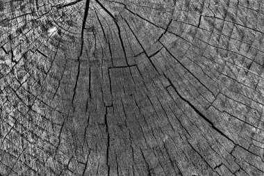 Soyut arkaplan. Monokrom dokusu. Siyah ve beyaz desenli arkaplan. 