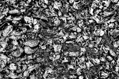 Soyut arkaplan. Monokrom dokusu. Siyah ve beyaz desenli arkaplan. 