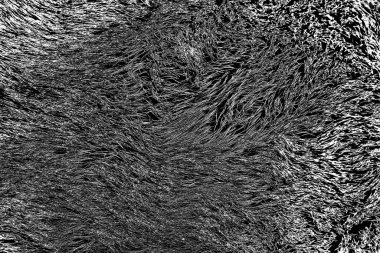 Soyut arkaplan. Monokrom dokusu. Siyah ve beyaz desenli arkaplan. 