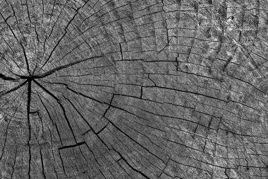 Soyut arkaplan. Monokrom dokusu. Siyah ve beyaz desenli arkaplan. 