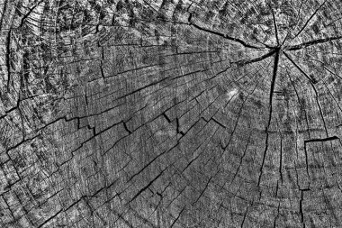 Soyut arkaplan. Monokrom dokusu. Siyah ve beyaz desenli arkaplan. 