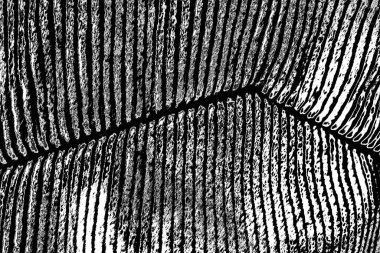 Soyut arkaplan. Monokrom dokusu. Siyah ve beyaz desenli arkaplan. 