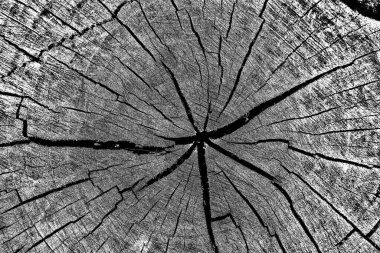 Soyut arkaplan. Monokrom dokusu. Siyah ve beyaz desenli arkaplan. 