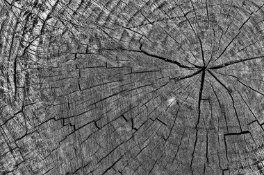 Soyut arkaplan. Monokrom dokusu. Siyah ve beyaz desenli arkaplan. 