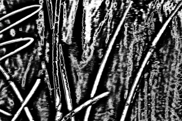 Fondo Abstracto Textura Monocromática Fondo Texturizado Blanco Negro —  Fotos de Stock