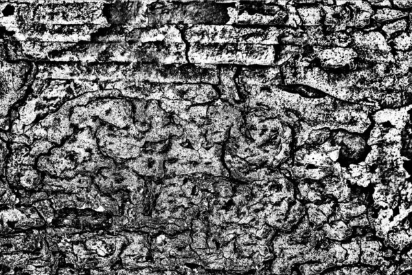 Fondo Abstracto Textura Monocromática Fondo Texturizado Blanco Negro — Foto de Stock