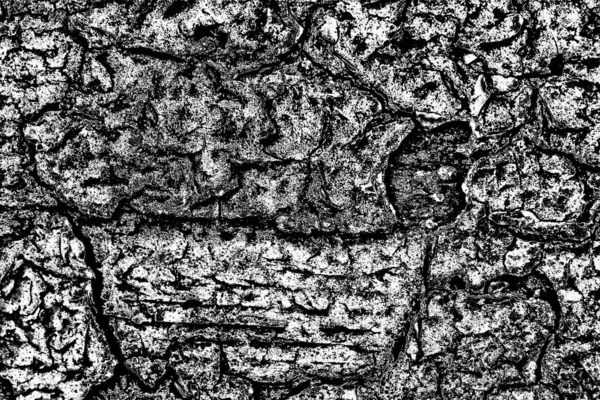 Fondo Abstracto Textura Monocromática Fondo Texturizado Blanco Negro — Foto de Stock