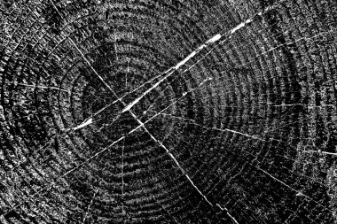 Soyut arkaplan. Monokrom dokusu. Siyah ve beyaz desenli arkaplan