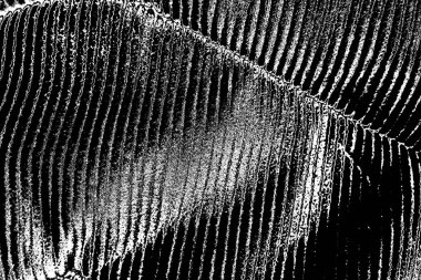 Soyut arkaplan. Monokrom dokusu. Siyah ve beyaz desenli arkaplan. 