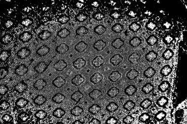 Soyut arkaplan. Monokrom dokusu. Siyah ve beyaz desenli arkaplan. 