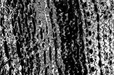 Soyut arkaplan. Monokrom dokusu. Siyah ve beyaz desenli arkaplan. 