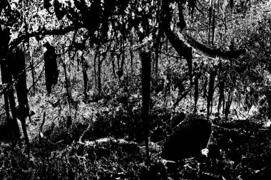 Soyut arkaplan. Monokrom dokusu. Siyah ve beyaz desenli arkaplan