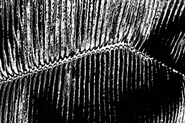 Soyut arkaplan. Monokrom dokusu. Siyah ve beyaz desenli arkaplan. 