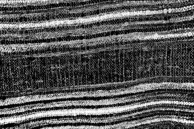 Soyut arkaplan. Monokrom dokusu. Siyah ve beyaz desenli arkaplan. 