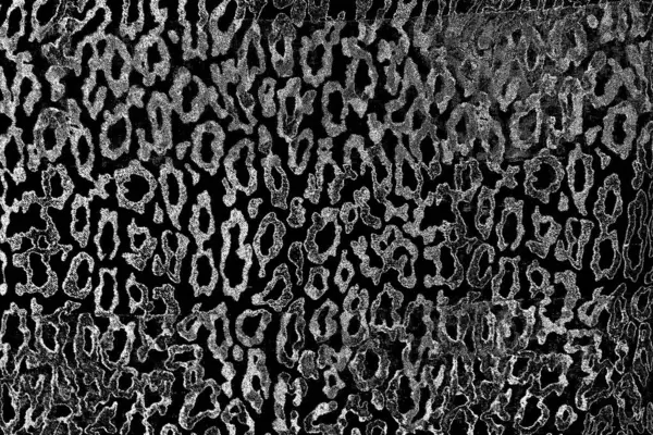 Fundo Abstrato Textura Monocromática Preto Branco Texturizado Fundo — Fotografia de Stock