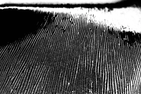 Abstracte Achtergrond Monochrome Textuur Zwart Wit Textuur Achtergrond — Stockfoto