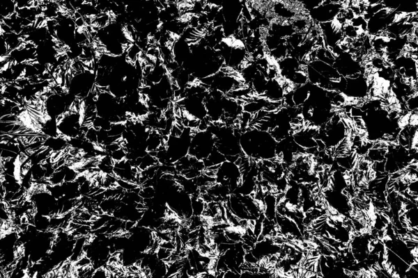 Soyut arkaplan. Monokrom dokusu. Siyah ve beyaz desenli arkaplan. 