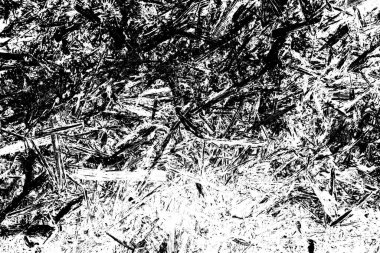 Soyut arkaplan. Monokrom dokusu. Siyah ve beyaz desenli arkaplan