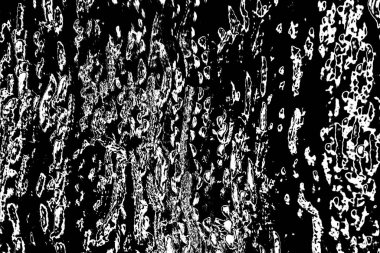 Soyut arkaplan. Monokrom dokusu. Siyah ve beyaz desenli arkaplan. 