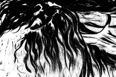 İşlemde koyun yünü, siyah ve beyaz soyut arkaplan