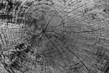 Soyut arkaplan. Monokrom dokusu. Siyah ve beyaz desenli arkaplan. 