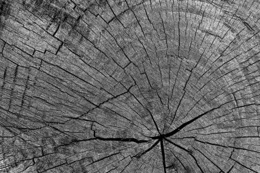 Soyut arkaplan. Monokrom dokusu. Siyah ve beyaz desenli arkaplan. 