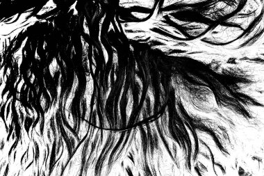 İşlemde koyun yünü, siyah ve beyaz soyut arkaplan