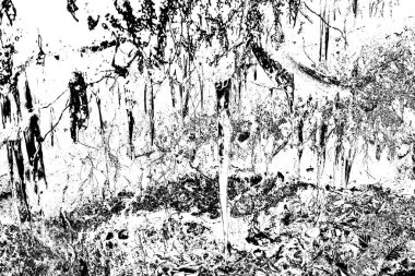 Soyut arkaplan. Monokrom dokusu. Siyah ve beyaz desenli arkaplan. 