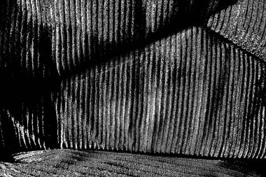 Soyut arkaplan. Monokrom dokusu. Siyah ve beyaz desenli arkaplan. 