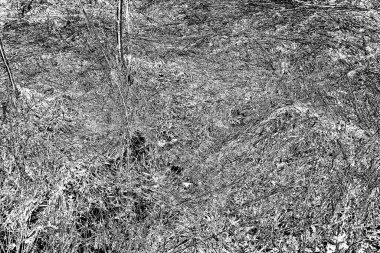 Soyut arkaplan. Monokrom dokusu. Siyah ve beyaz desenli arkaplan. 