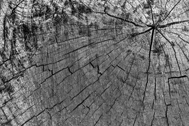 Soyut arkaplan. Monokrom dokusu. Siyah ve beyaz desenli arkaplan. 