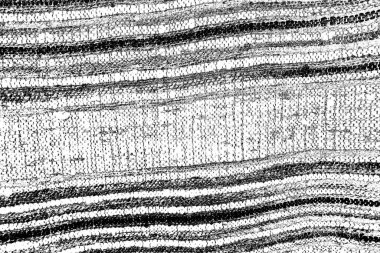 Soyut arkaplan. Monokrom dokusu. Siyah ve beyaz desenli arkaplan. 