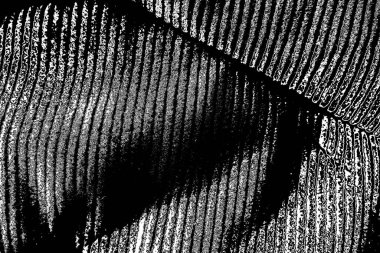 Soyut arkaplan. Monokrom dokusu. Siyah ve beyaz desenli arkaplan. 