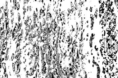 Soyut arkaplan. Monokrom dokusu. Siyah ve beyaz desenli arkaplan. 