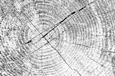 Soyut arkaplan. Monokrom dokusu. Siyah ve beyaz desenli arkaplan. 