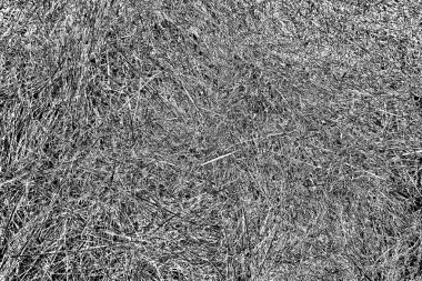 Soyut arkaplan. Monokrom dokusu. Siyah ve beyaz desenli arkaplan