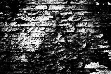 Soyut arkaplan. Monokrom dokusu. Siyah ve beyaz desenli arkaplan. 