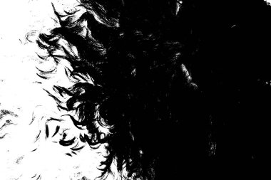 İşlemde koyun yünü, siyah ve beyaz soyut arkaplan