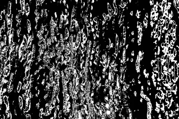 Fondo Abstracto Textura Monocromática Fondo Texturizado Blanco Negro — Foto de Stock