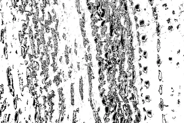 Абстрактный Фон Монохромная Текстура Черно Белый Текстурированный Фон — стоковое фото