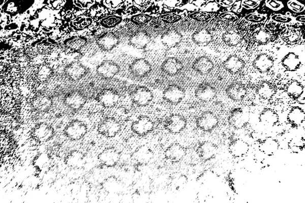 Абстрактний Фон Монохромна Текстура Чорно Білий Текстурований Фон — стокове фото