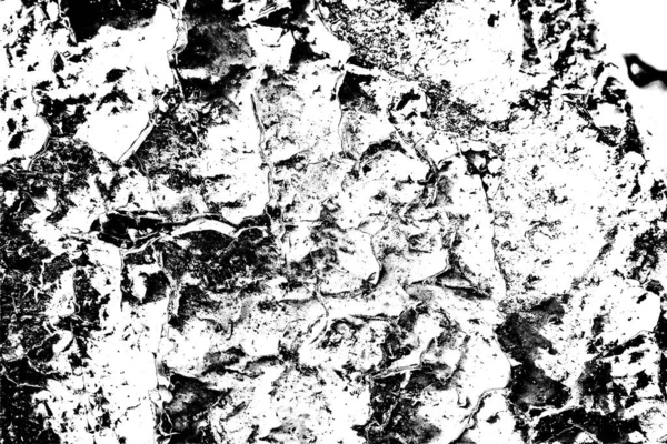 Fondo Abstracto Textura Monocromática Fondo Texturizado Blanco Negro —  Fotos de Stock