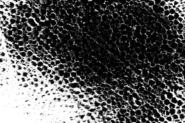 Fondo Abstracto Textura Monocromática Fondo Texturizado Blanco Negro — Foto de Stock