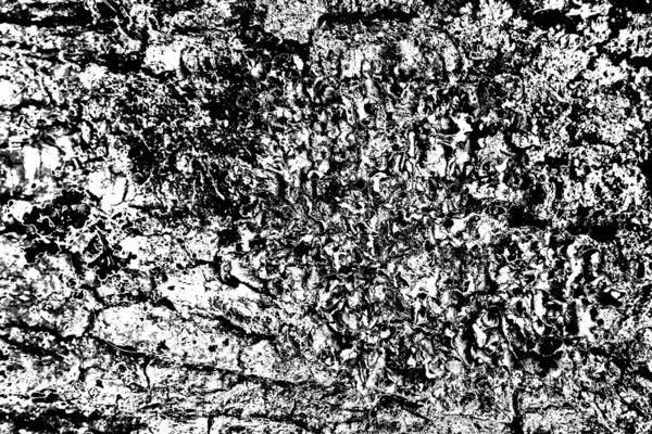 Fondo Abstracto Textura Monocromática Fondo Texturizado Blanco Negro — Foto de Stock