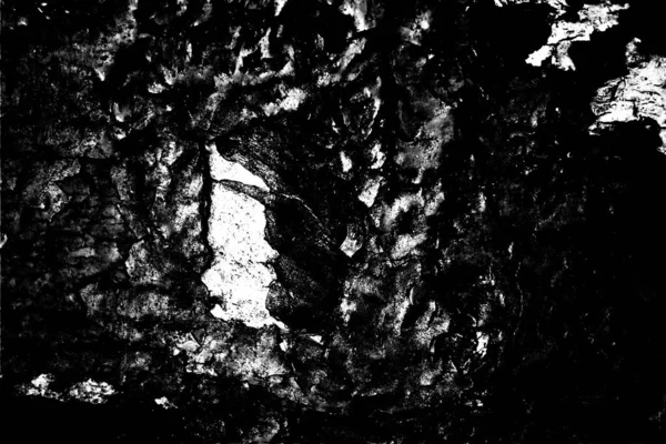 Contexte Abstrait Texture Monochrome Fond Texturé Noir Blanc — Photo